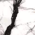 Vein